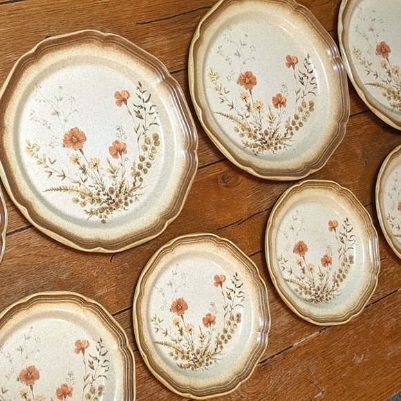 *SOLD* 8pc Mikasa Whole Wheat 'Jardiniere' plates - Picture 3 of 9